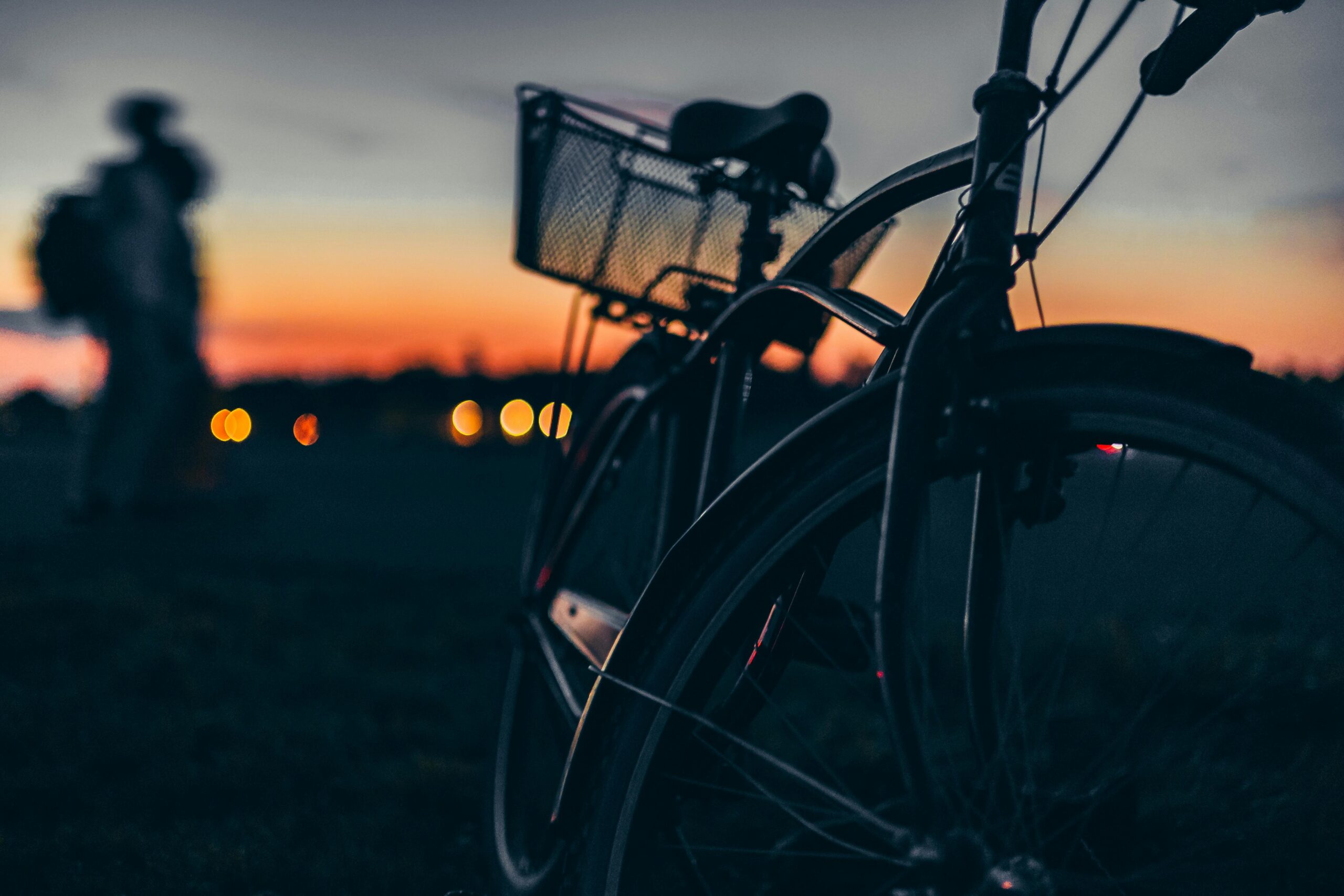 pexels-hedigt-33672262